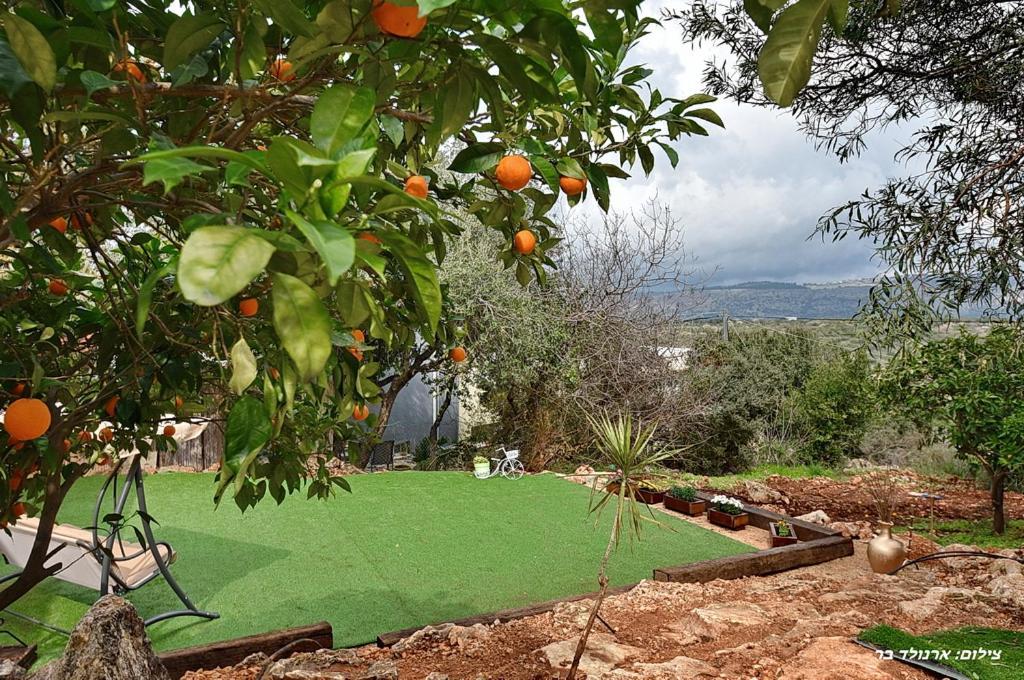 Appartement סויטות אירוח מנות Extérieur photo
